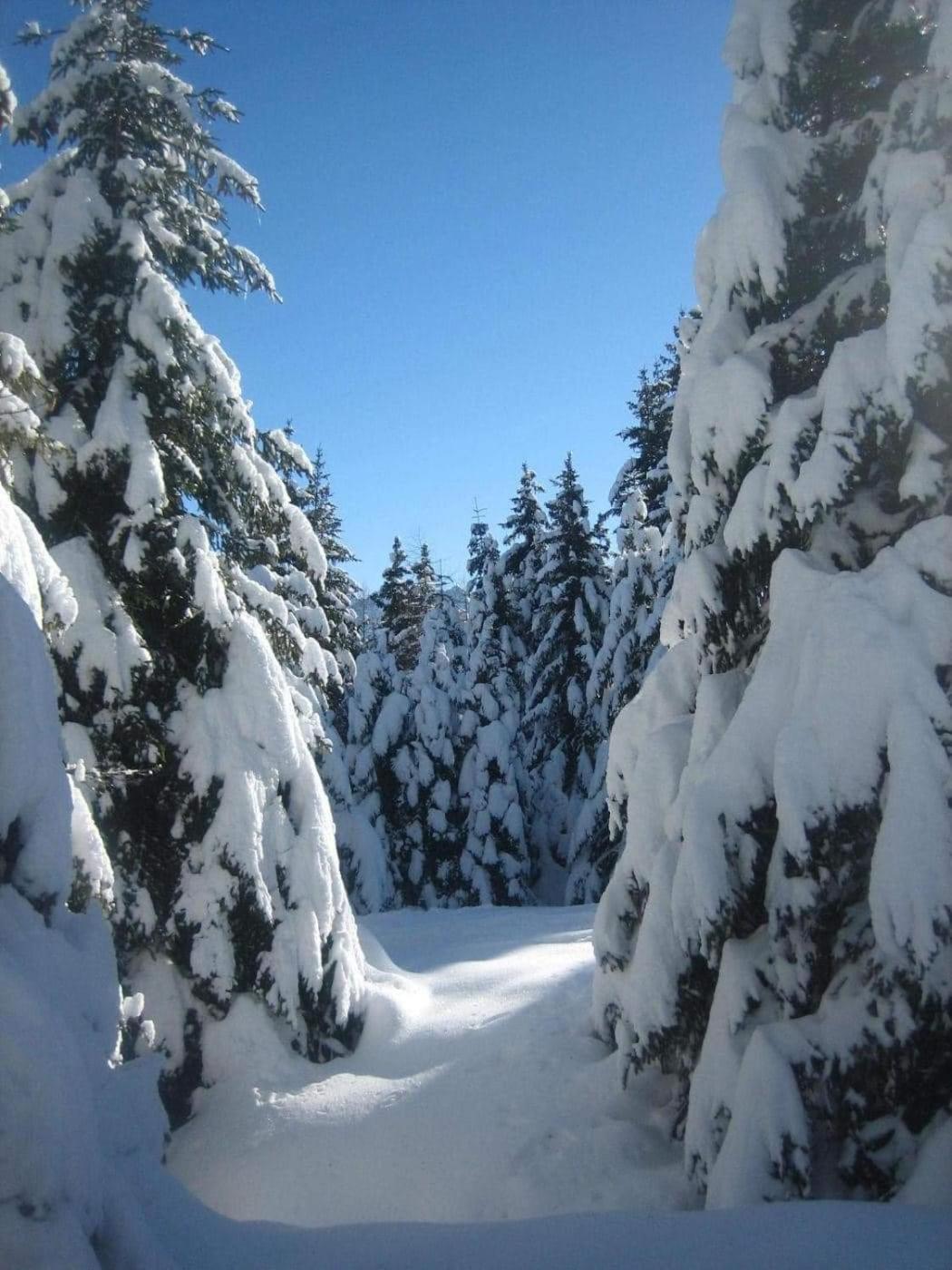 Suite Chalet بونتي دي لينيو الغرفة الصورة
